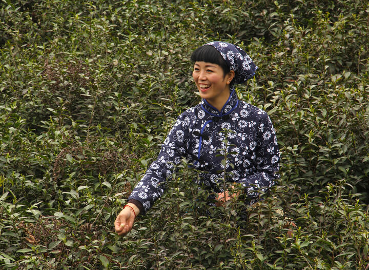 一对一视频聊天网站 侦探手记